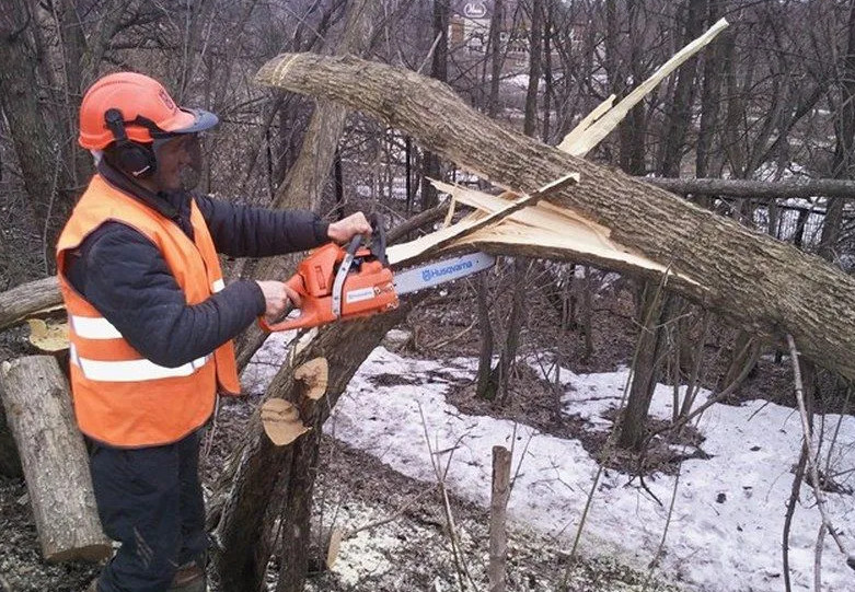 Сергей:  Спил деревье в Навашино и Навашинском районе