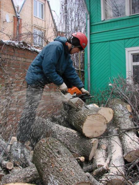 Владимир:  Спил и обрезка деревьев в Бахчисарае!