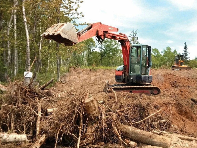 Сергей:  Спил деревьев, расчистка участка, слом построек Богородск