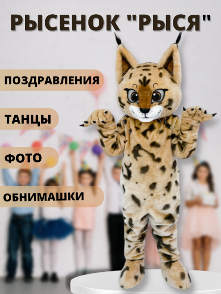 Дарья:  Ростовая кукла аниматор котёнок "Рыся"