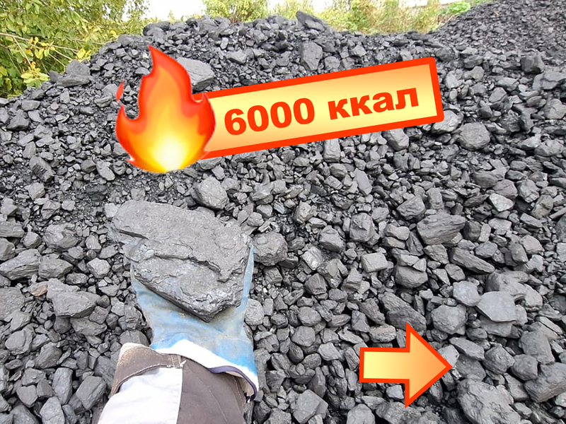 Уголь ДПК и ДОМ с доставкой от 1 тонны
