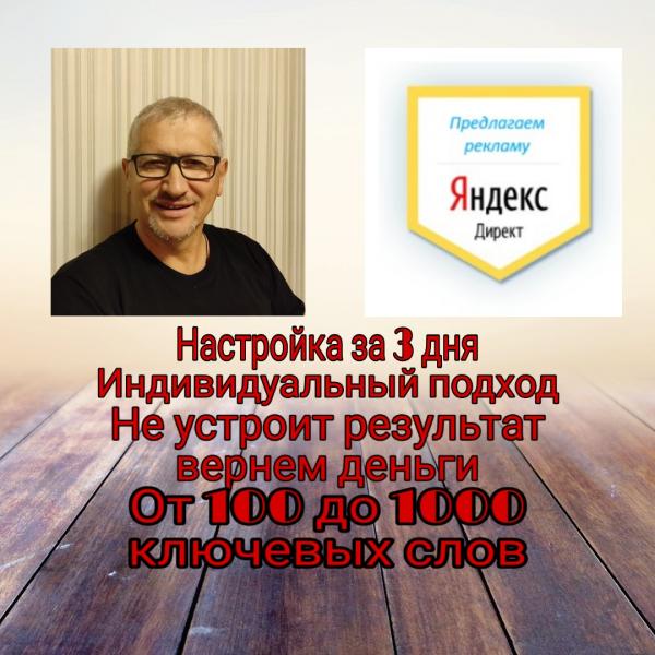 Андрей:  Профессиональная настройка рекламы в Яндекс Директ 