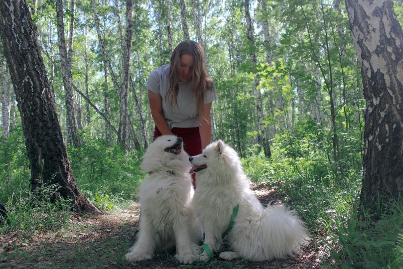 Анастасия: Кинолог дрессировка собак