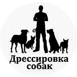 Ирина:  Обучение Грамотному Обращению с Щенком-Собакой