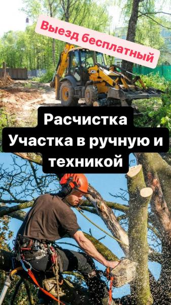 Альберт Раисович Заббаров:  Расчистка участка, спил деревьев