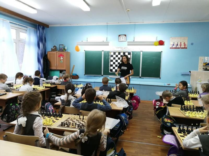 Юлия:  Тренер по шахматам