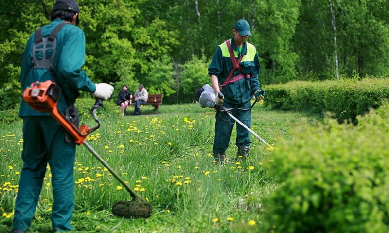 Виктор Васендин:  Покост травы в любой части Хабаровск