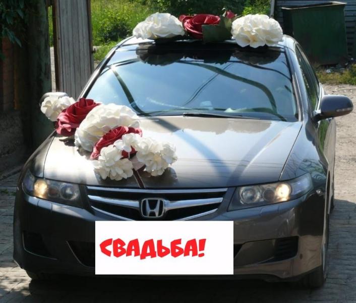 Любовь :  Сдам в аренду