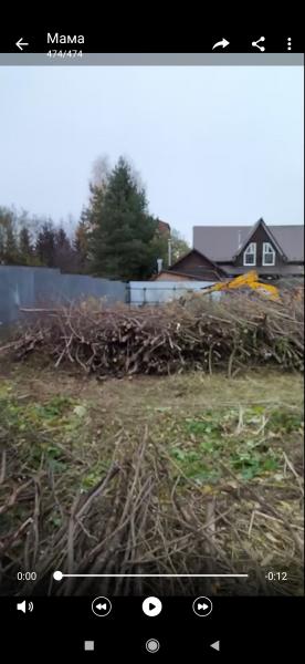 Спил деревьев измельчение веток удаление пней