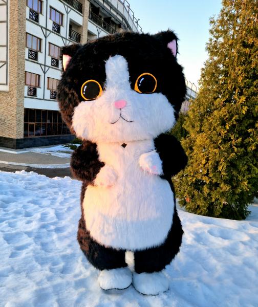 ольга:  Ростовая кукла кот поздравление Калуга. Живая открытка