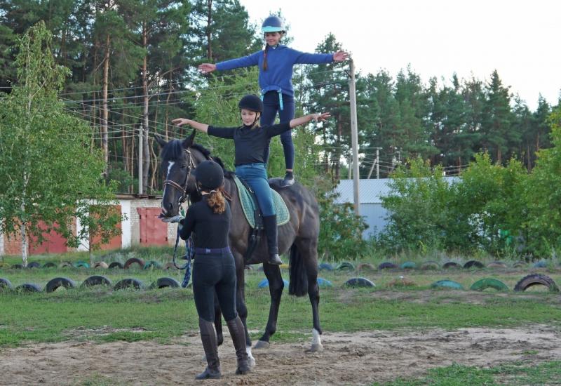 Александр:  аренда лошади, обучение верховой езде