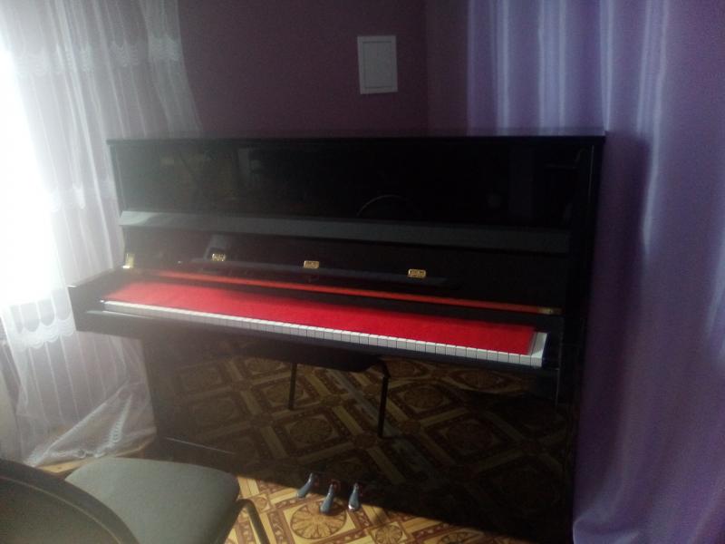василий:  Настройщик пианино настройка и ремонт