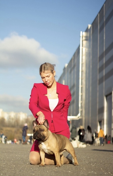 Услуги Хендлера 