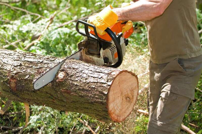 Спил деревьев на участке. Вывоз мусора веток. Покос травы
