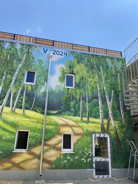 Рисунки на стенах под заказ 