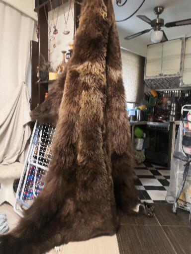 Выделка шкуры медведя