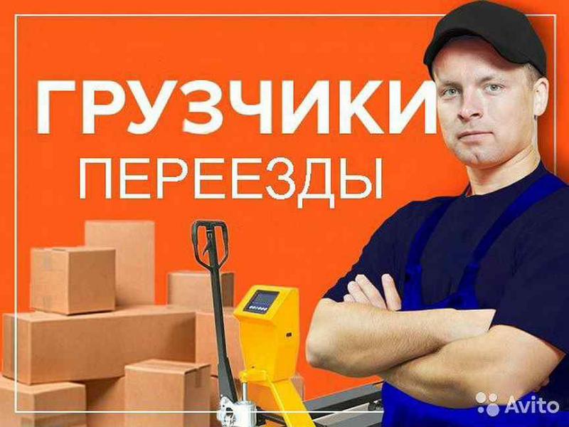 Александр:  Переезды Газель Грузчики Вывоз Мусора