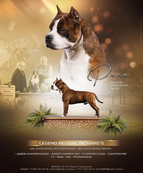 Кобель для вязки