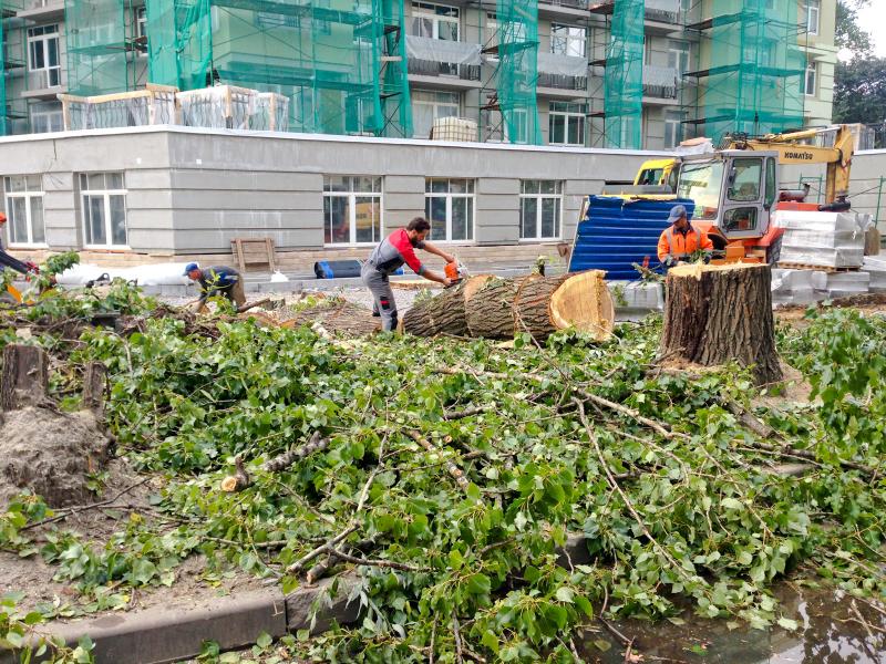 Виталий:  Расчистка и уборка участка от деревьев
