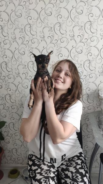 Оксана:  Передержка собак дома