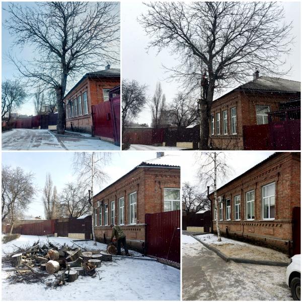 ДЕНИС:  Спил и обрезка деревьев в Новобатайске