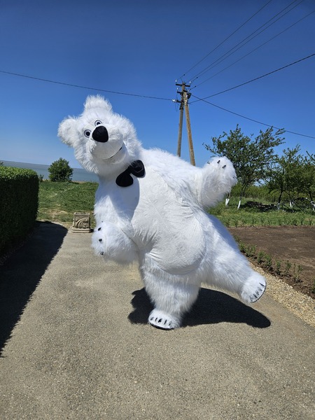 Ростовые куклы - поздравление от большой куклы