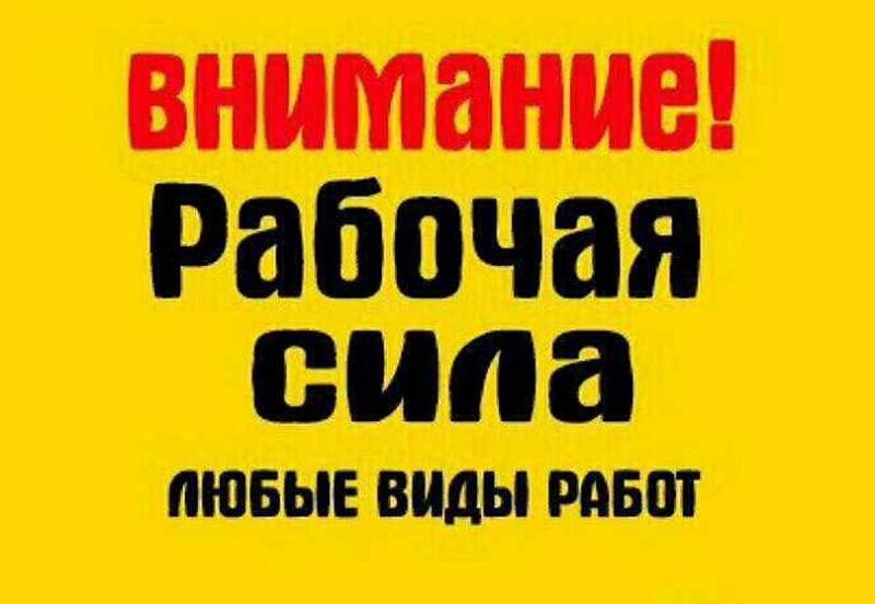 Помощь на даче в саду Уборка территории рабочие