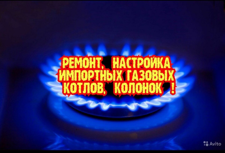 Николай:  Ремонт импортных газовых котлов , колонок 