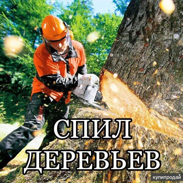 Спил деревьев Уфа профессионально качественно 
