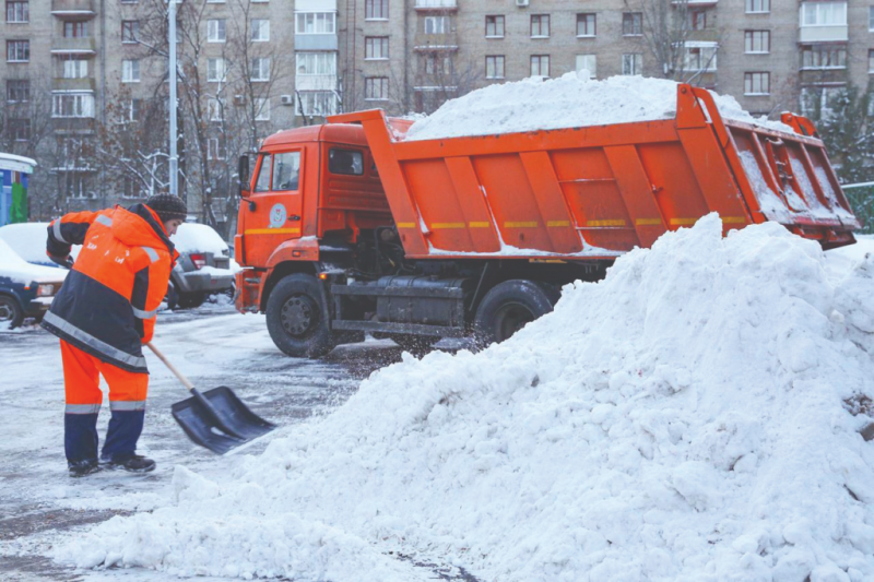 Дмитрий Васильевич:  Грузчики.Уборка и вывоз снега