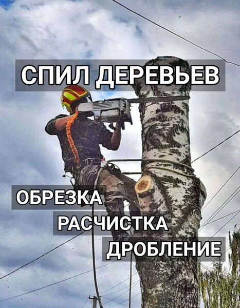 Спил деревьев, валка, обрезка, расчистка участка