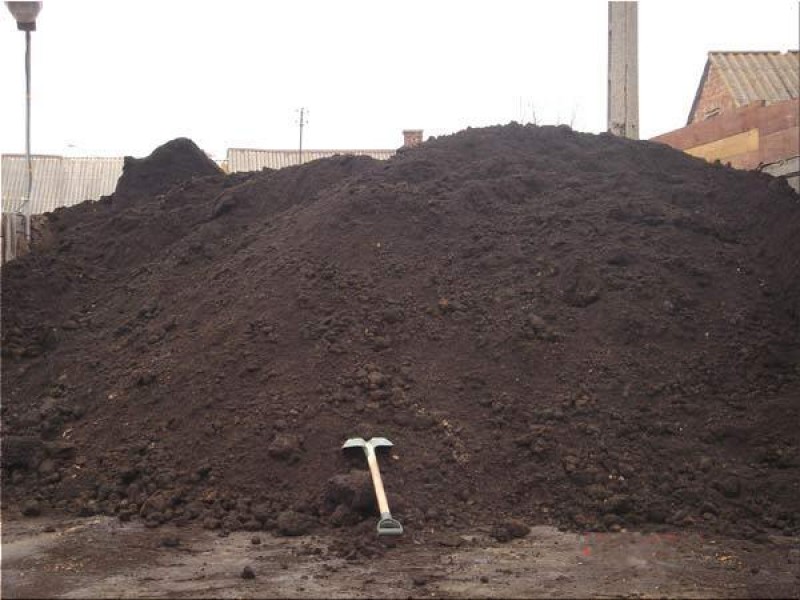 Наталья:  Земля,  грунт для отсыпки, строительный мусор