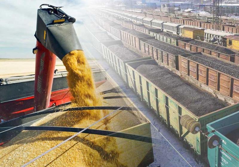 Руслан:  Перевозка зерна вагонами  под ключ 