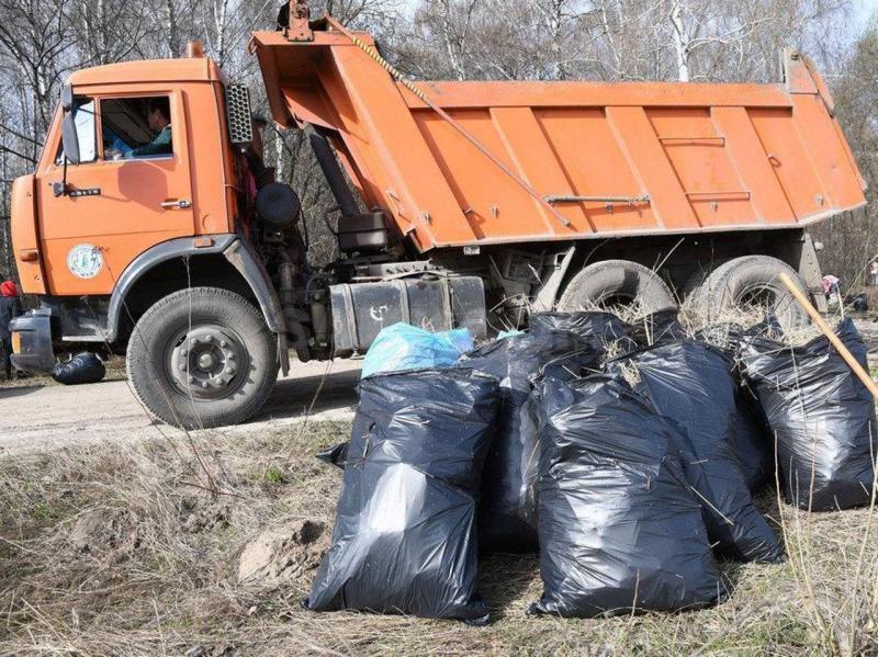 Миша:  Вывоз любого мусора