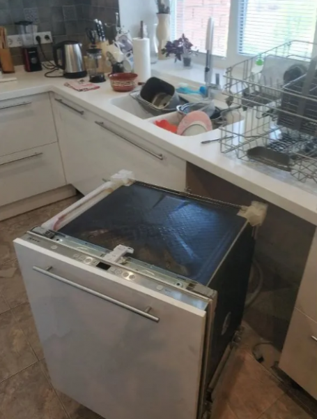 Дмитрий:  Ремонт стиральных машин, ремонт холодильников