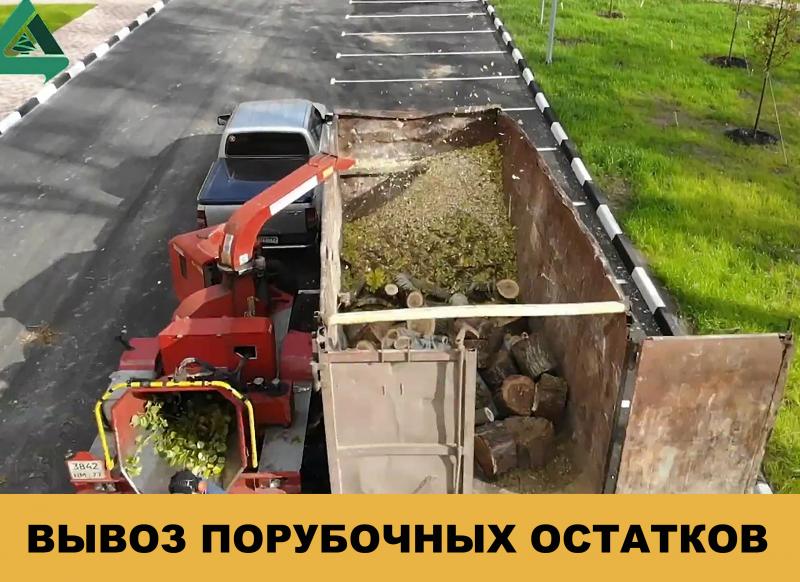Константин:  Удаление,  спил,  обрезка деревьев в Солнечногорском районе
