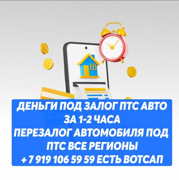 Услуги Санкт-Петербург | UslugiO.com