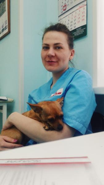 Светлана:  Услуги ветеринарного врача с выездом на дом