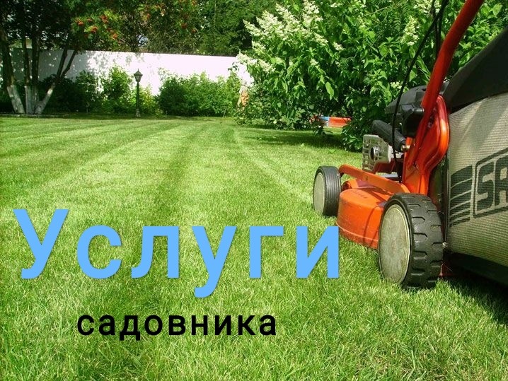 Алексей:  Услуги садовника