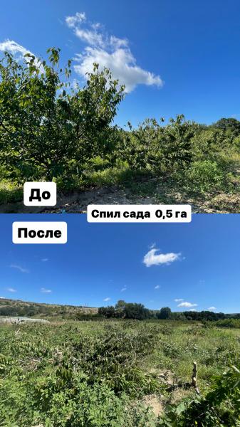 Уборка Крым:  Уборка участка , покос травы , вывоз мусора 