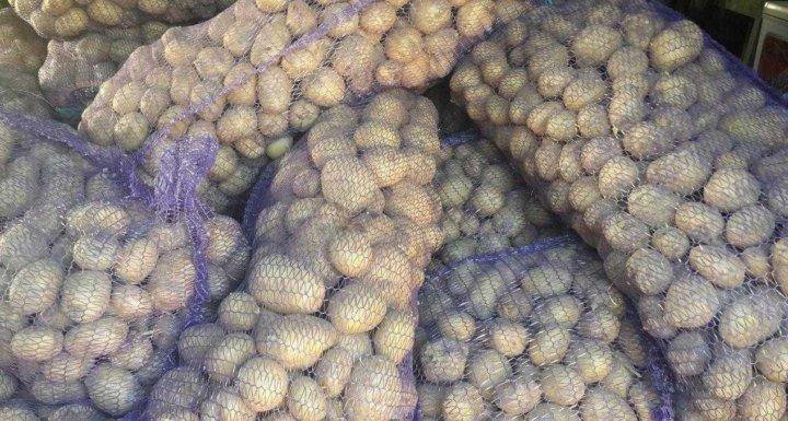 Оптовые поставки картофеля под ключ — агентские услуги