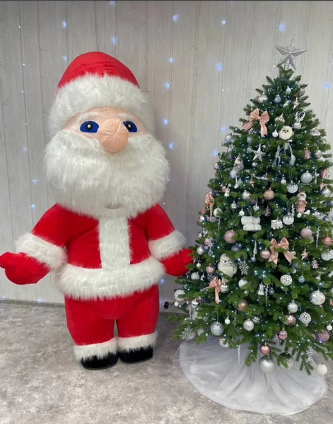 Дед мороз и снегурочка