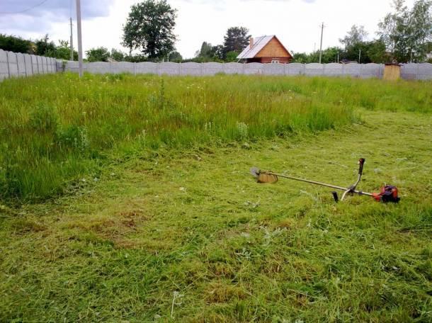 Евгений:  Покос травы в Домодедово