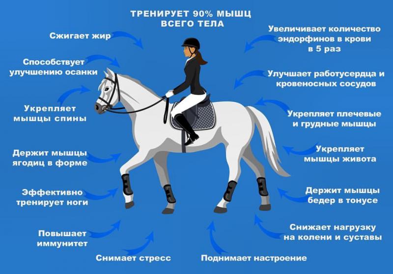 Анатолий Шабалин:  Прогулки на лошадях, спорт.