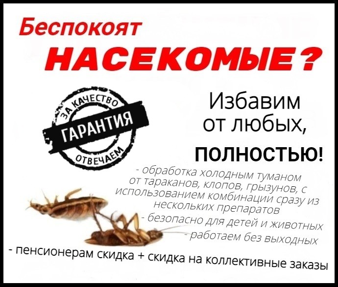 Александр:  Уничтожение тараканов, клопов, муравьев, грызунов