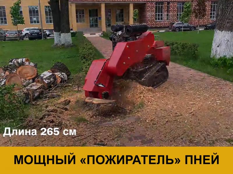 Константин:  Удаление,  спил,  обрезка  деревьев в Подольском районе