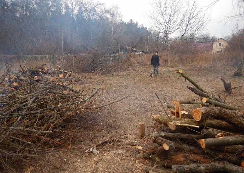 Cтанислав:  Вывоз мусора , уборка участков,спил деревьев