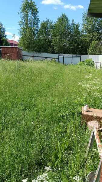 Покосить траву