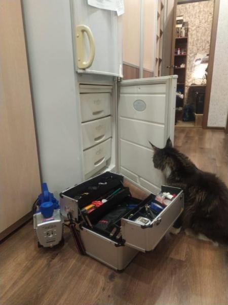 Андрей:  Ремонт холодильников на дому в Сосновоборске