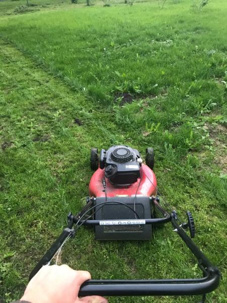 Покос травы тримером/газонокасилкой